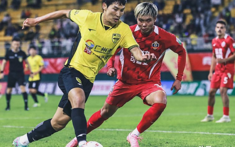 中甲赛场惊现“草坪荒漠”：延边主场状况引热议