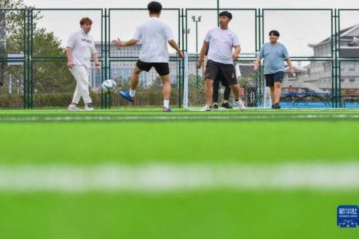 这中甲比赛绝了！来看看延边主场这草坪的情况