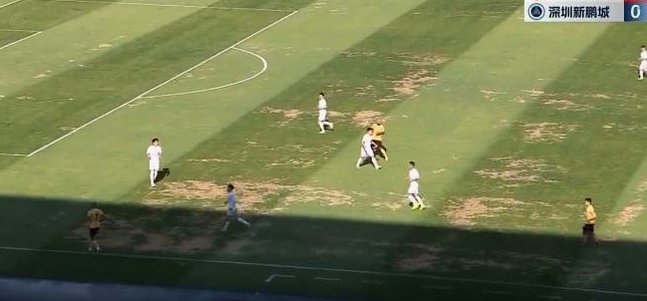 这中甲比赛绝了！来看看延边主场这草坪的情况