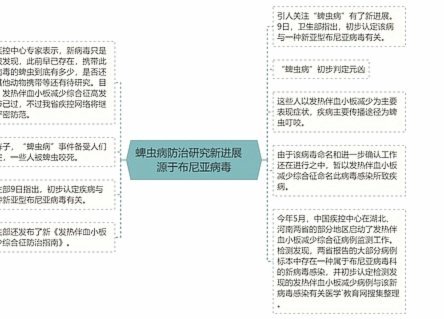 布尼亚明未来发展方向解析