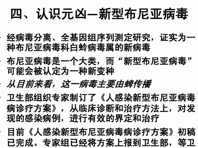 关于布尼亚明目前发展方向的看法