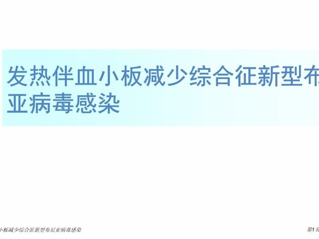 关于布尼亚明目前发展方向的看法